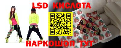 шишки Партизанск