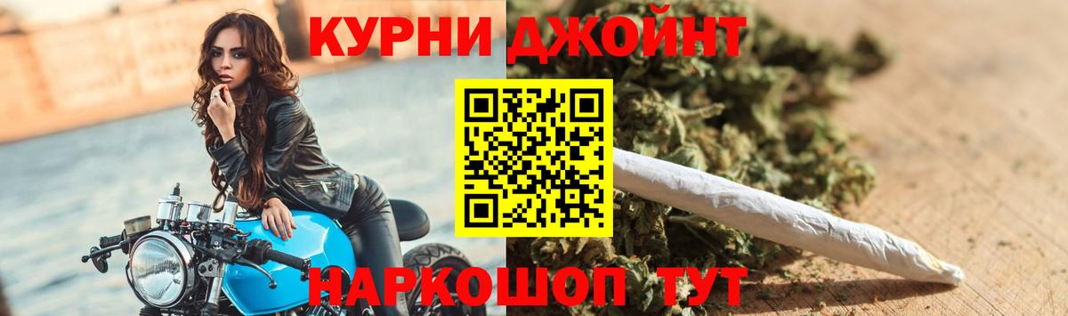 Бошки Шишки планчик Волхов